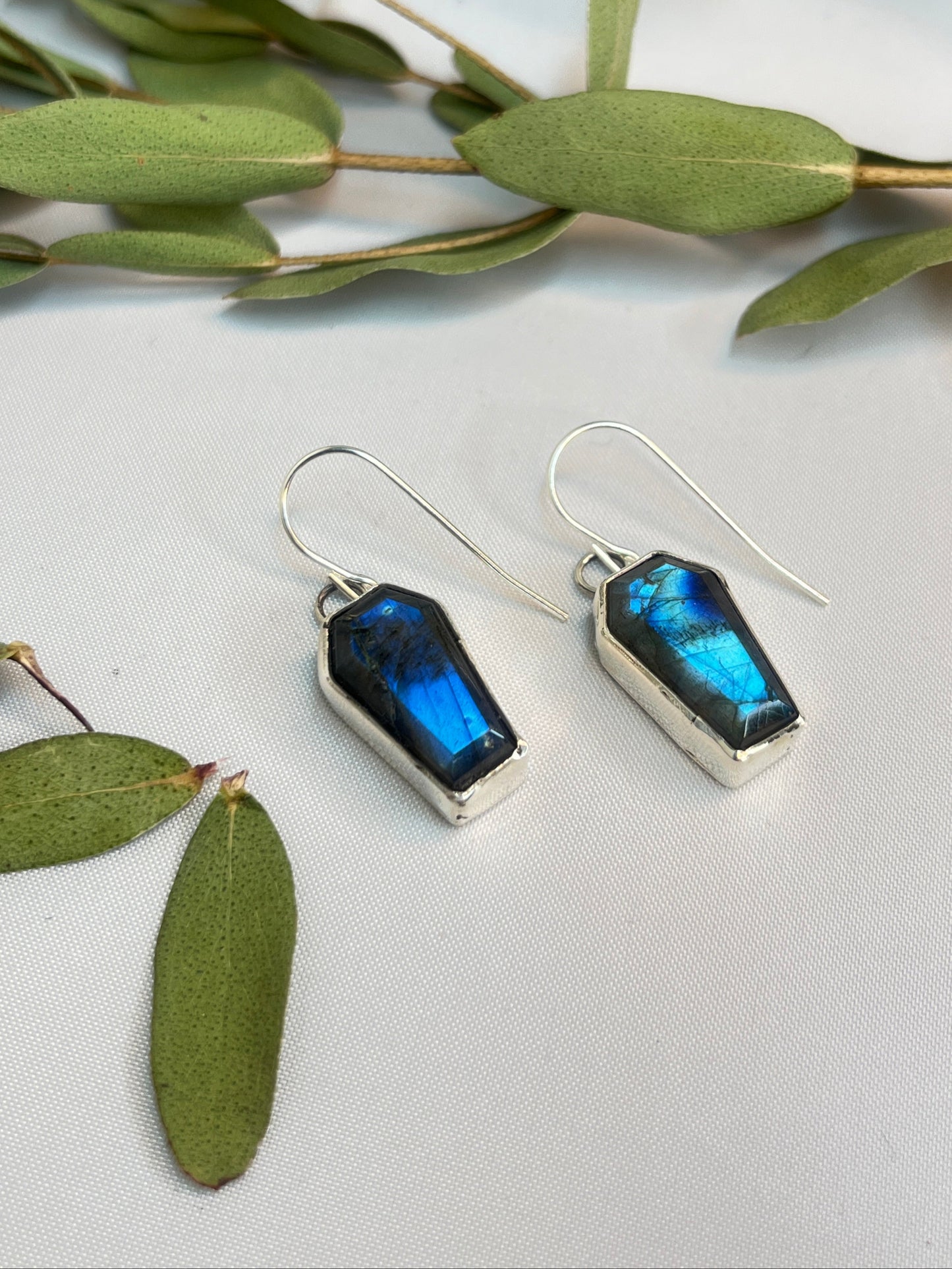 Labradorite Coffin Cut Earrings