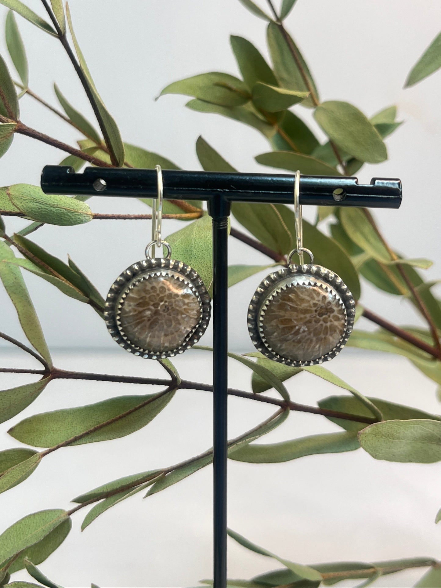 Petoskey Fossil Round Dangle Earrings
